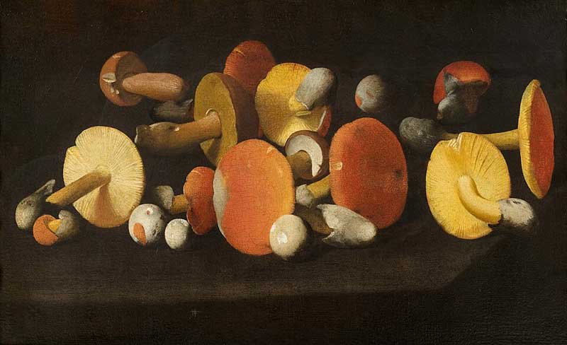 Paolo Porpora, Public domain, via Wikimedia Commons